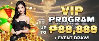 vip program up to 88888