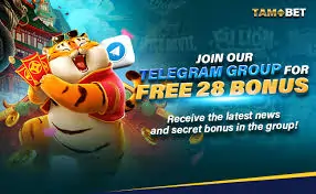 free 28 bonus