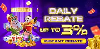 Daily rebate 3%