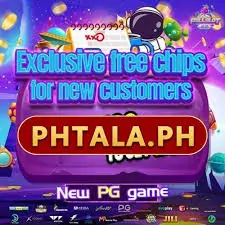 PHTALA FREE CHIPS